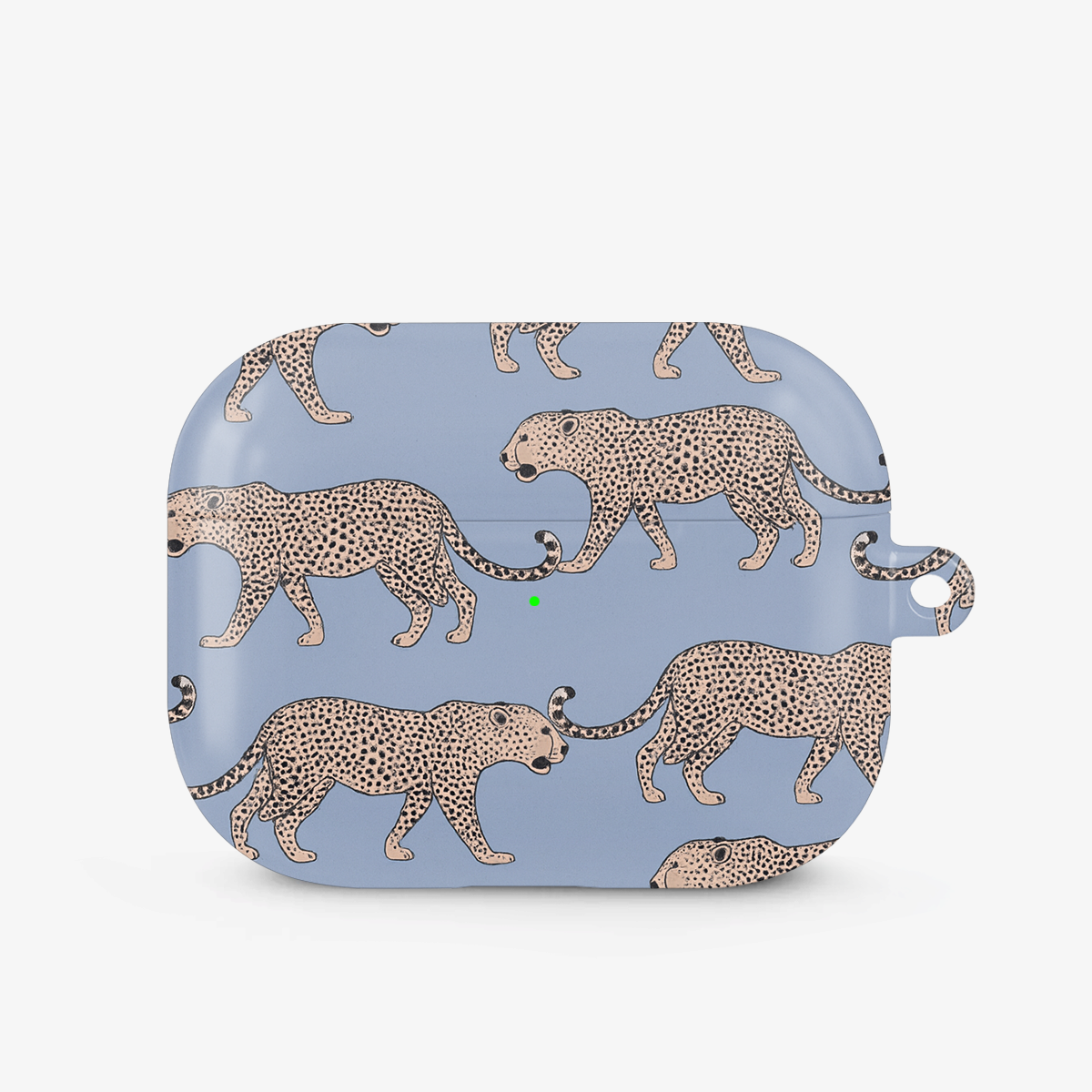 Tourist Trap Airpods Case