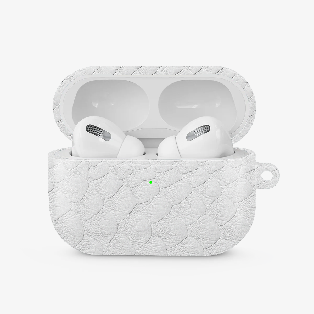 Glacial Desert Airpods Case
