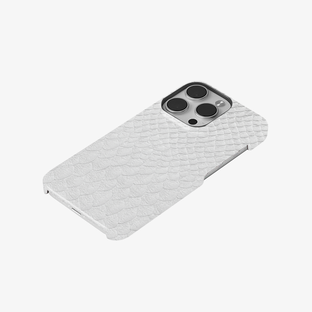 Glacial Desert Phone Case