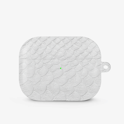 Glacial Desert Airpods Case