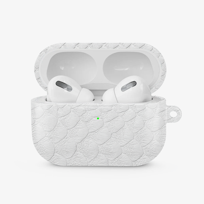 Glacial Desert Airpods Case