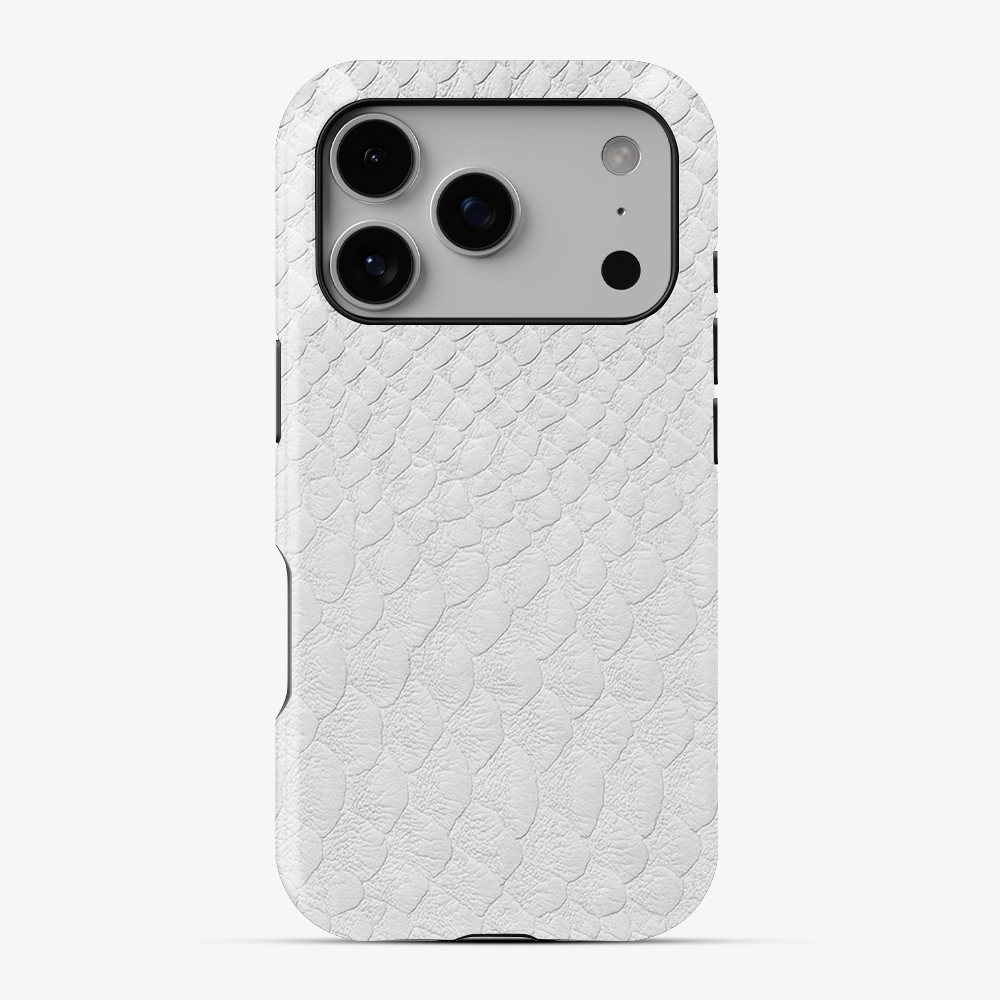 Glacial Desert Phone Case