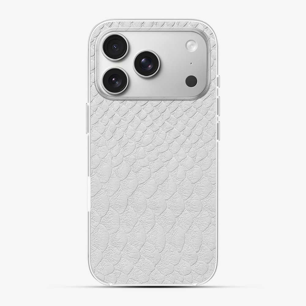 Glacial Desert Phone Case